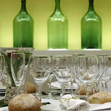 Alfonso Ix Ξενοδοχείο