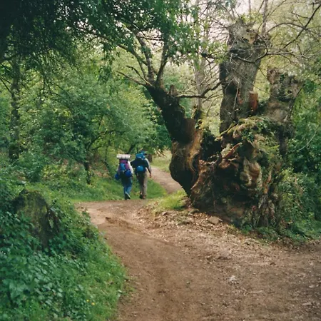 Ξενοδοχείο Alfonso Ix Sarria