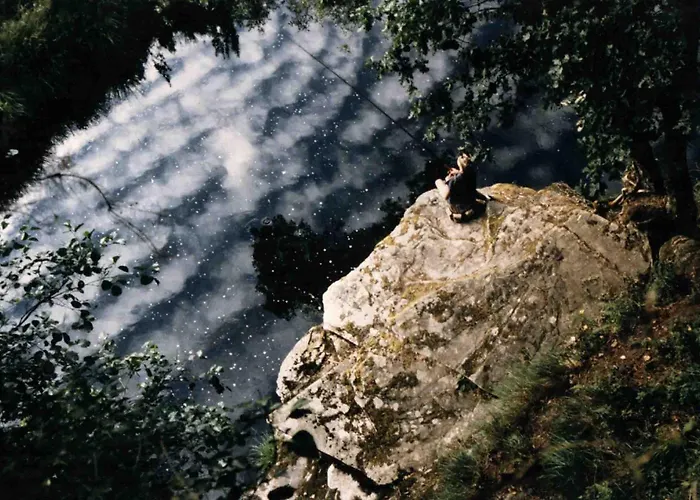 阿方索九号酒店 酒店