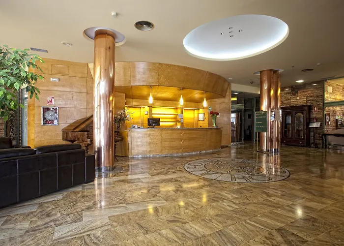 阿方索九号酒店 4* 萨里亚