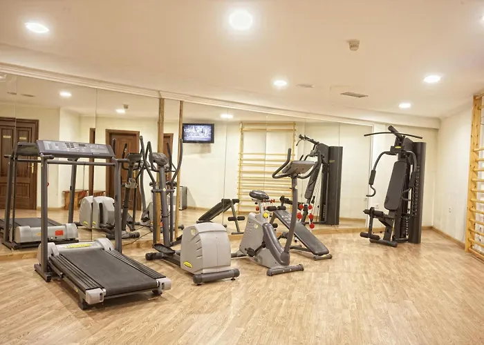 酒店 阿方索九号酒店 4*