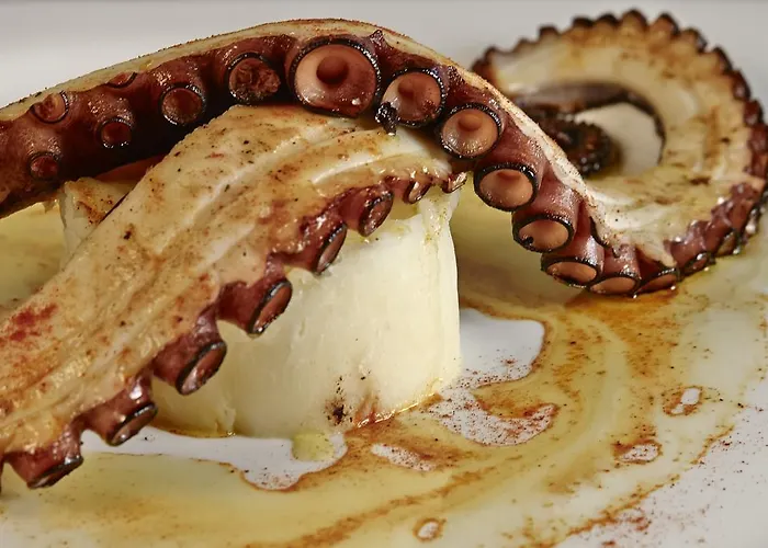 阿方索九号酒店 萨里亚